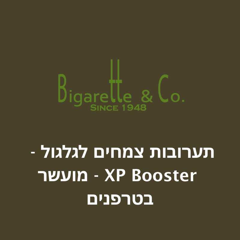 XP Booster - מועשר בטרפנים