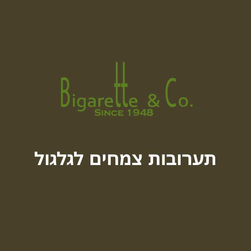 תערובות צמחים לגלגול