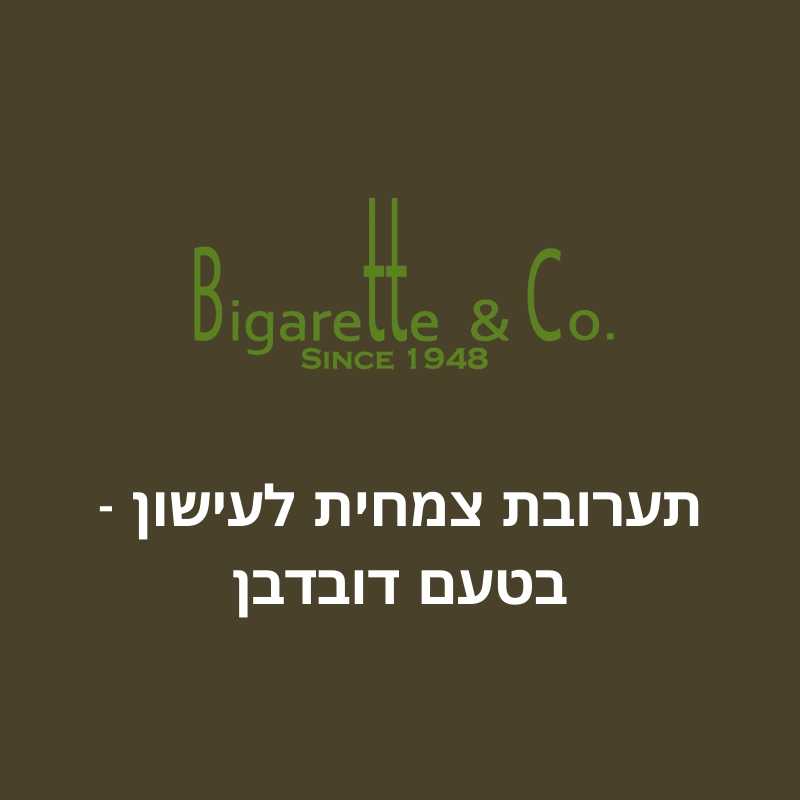 תערובת צמחית לעישון בטעם דובדבן