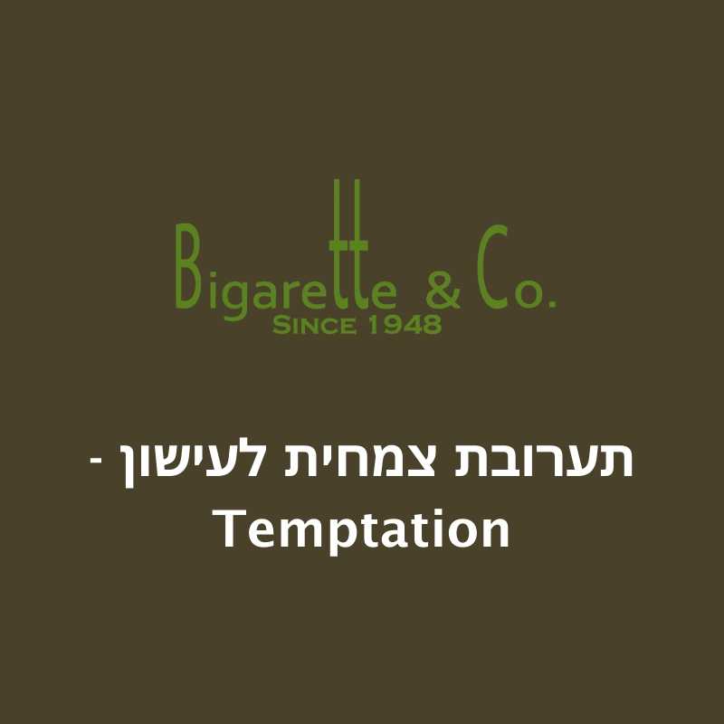 תערובת צמחית לעישון - פיתוי